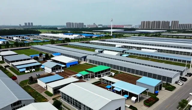 康复指导在口腔治疗中的选型关注点